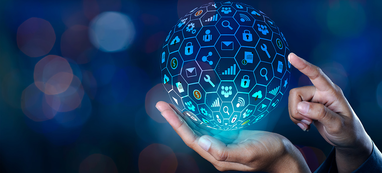 Care sunt particularitatile unui ERP ca sistem informatic integrat?