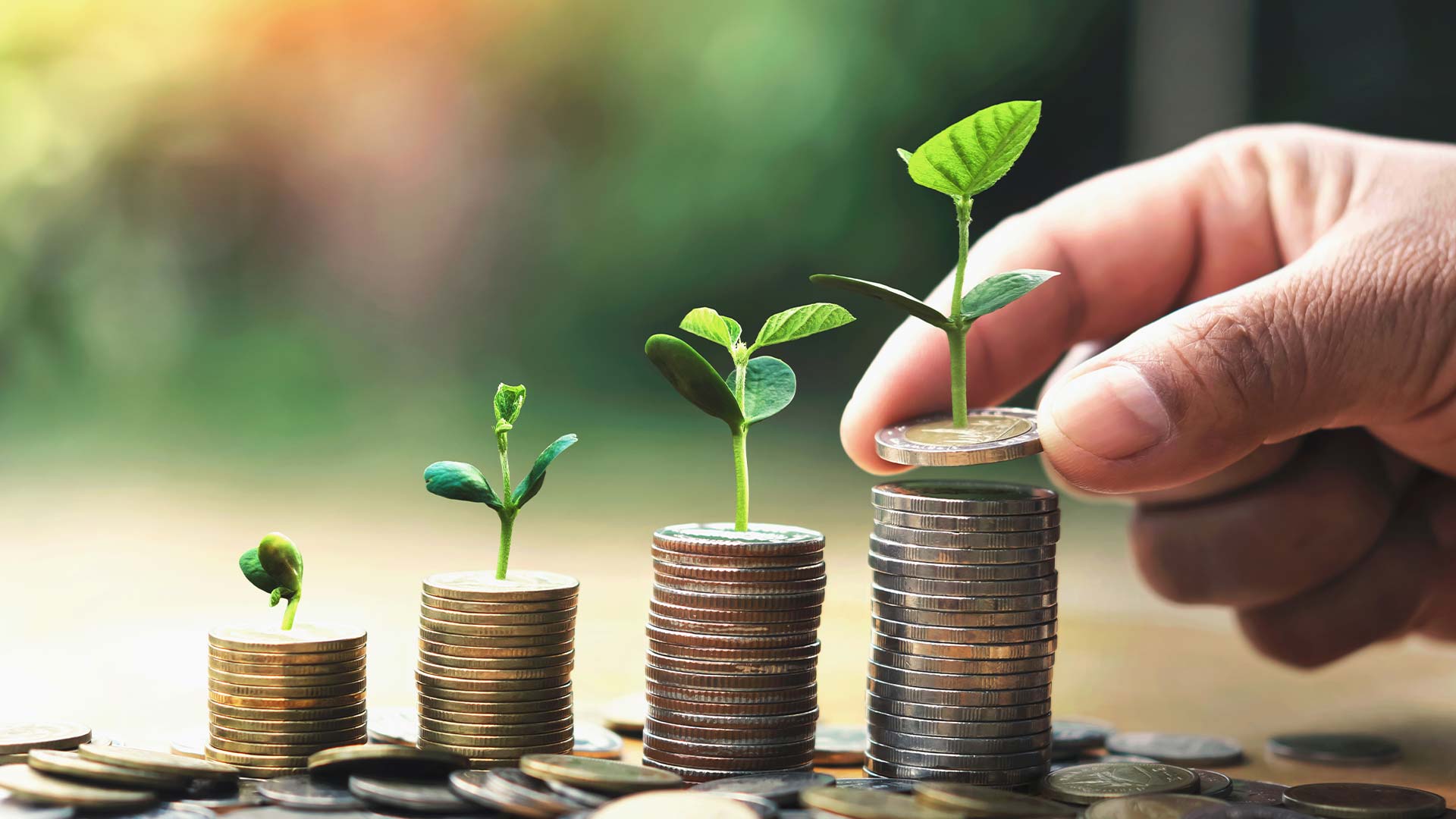 HR – Management Resurse Umane